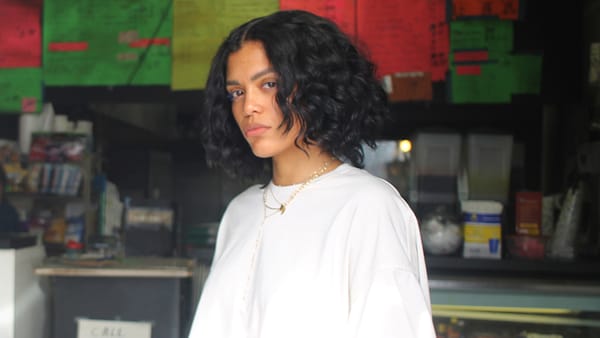 Domo Wells Washington Spirit